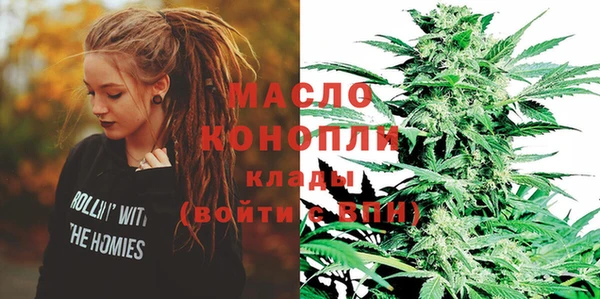 молекула духа Верхний Тагил
