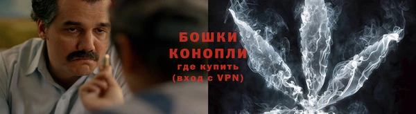 молекула духа Верхний Тагил