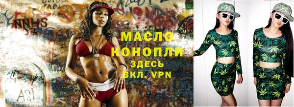 молекула духа Верхний Тагил