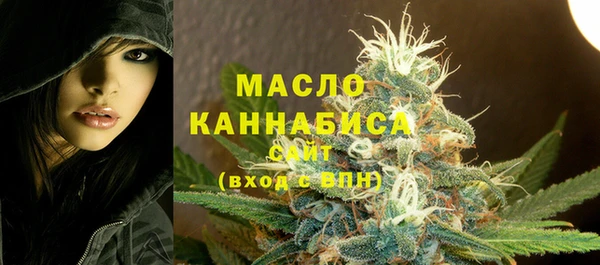 молекула духа Верхний Тагил