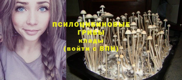 тгк Верея